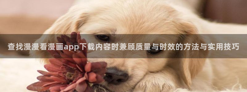漫蛙漫画免费在线漫画：查找漫漫看漫画app下载内容时兼顾质量与时效的方法与实用技巧