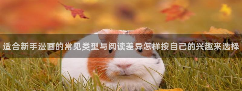 漫蛙漫画在线免费看：适合新手漫画的常见类型与阅读差异怎样按自己的兴趣来选择