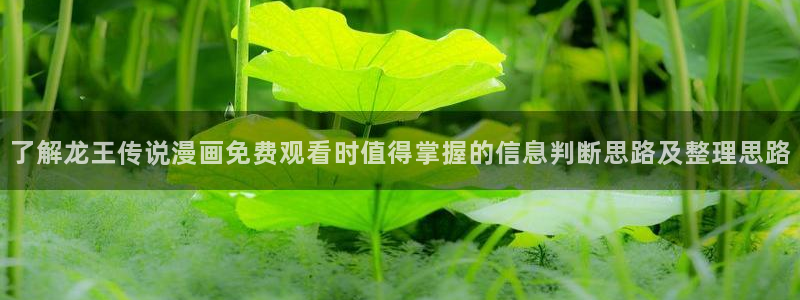 漫蛙漫画在线免费看：了解龙王传说漫画免费观看时值得掌握的信息判断思路及整理思路