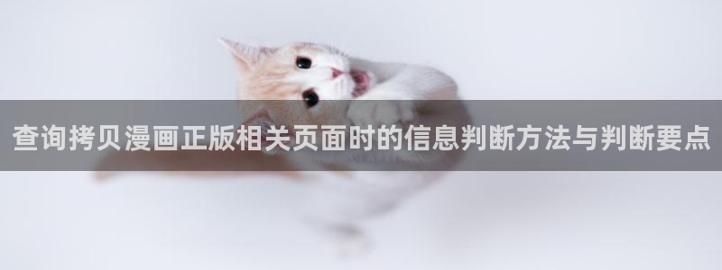 漫蛙漫画漫画作品：查询拷贝漫画正版相关页面时的信息判断方法与判断要点